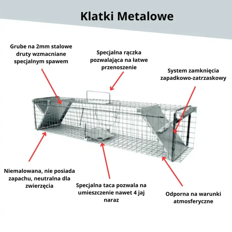 Skuteczna pułapka, żywołapka na kuny, łasice, szczury - Metalowa - obrazek 3