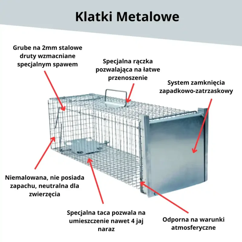 Skuteczna Pułapka, żywołapka na Lisy, Kuny, Wydry, Bobry - Metalowa - obrazek 3