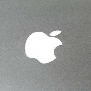 apple (1)