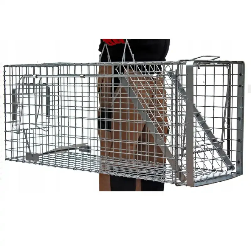 Skuteczna pułapka, żywołapka na Lisy, Kuny, Bobry, Koty jednowejściowa metalowa 105x34x42 cm - obrazek 2