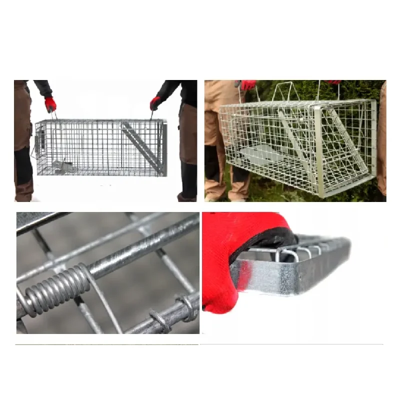 Skuteczna pułapka, żywołapka na Lisy, Kuny, Bobry, Koty jednowejściowa metalowa 105x34x42 cm - obrazek 5