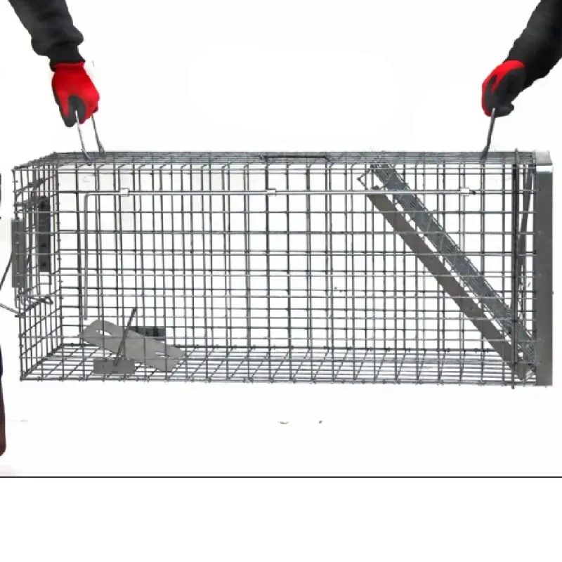 Skuteczna pułapka, żywołapka na koty, kuny, psy, ptaki, zwierzynę leśną 102x34x34 - obrazek 3