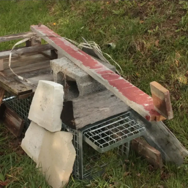 Skuteczna pułapka, żywołapka na koty, kuny, psy, ptaki, zwierzynę leśną 102x34x34 - obrazek 12