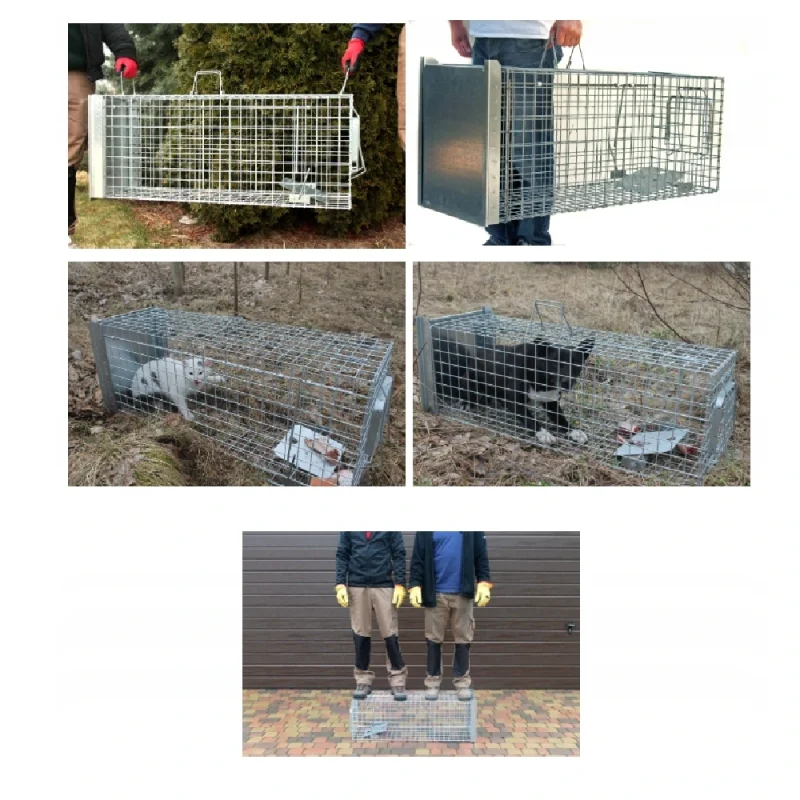 Skuteczna pułapka, żywołapka na Lisy, Kuny, Bobry, Koty jednowejściowa metalowa 105x34x42 cm - obrazek 13