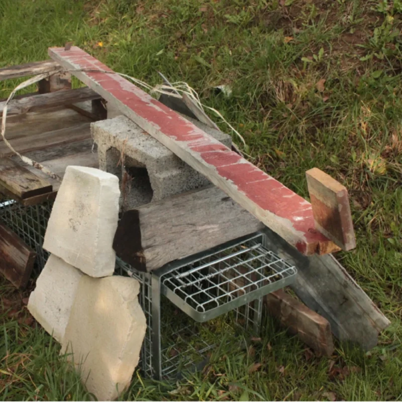 Skuteczna pułapka, żywołapka z metalu 120x34x34 HARDY - obrazek 4